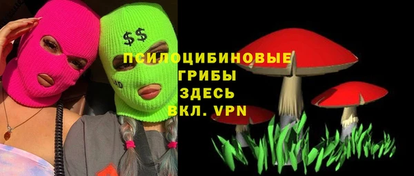 PSILOCYBIN Алексеевка