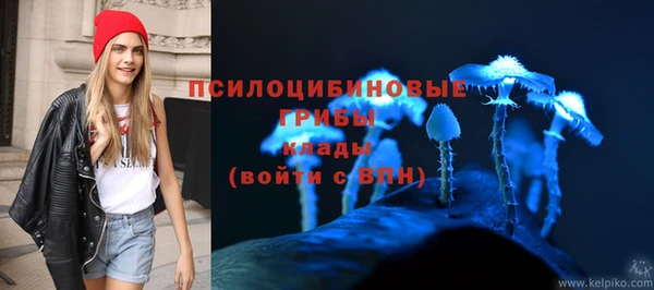 а пвп мука Арсеньев