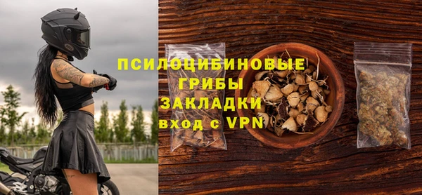 PSILOCYBIN Алексеевка