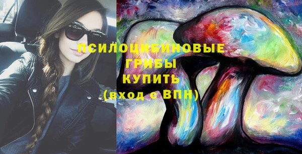 PSILOCYBIN Алексеевка