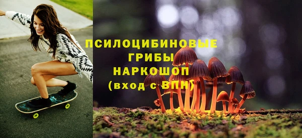 PSILOCYBIN Алексеевка