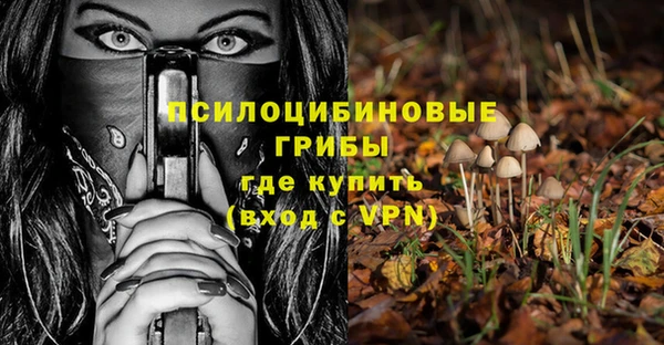 PSILOCYBIN Алексеевка