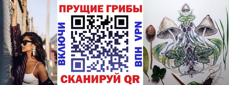 Купить закладки Североуральск Псилоцибиновые грибы MAGIC MUSHROOMS